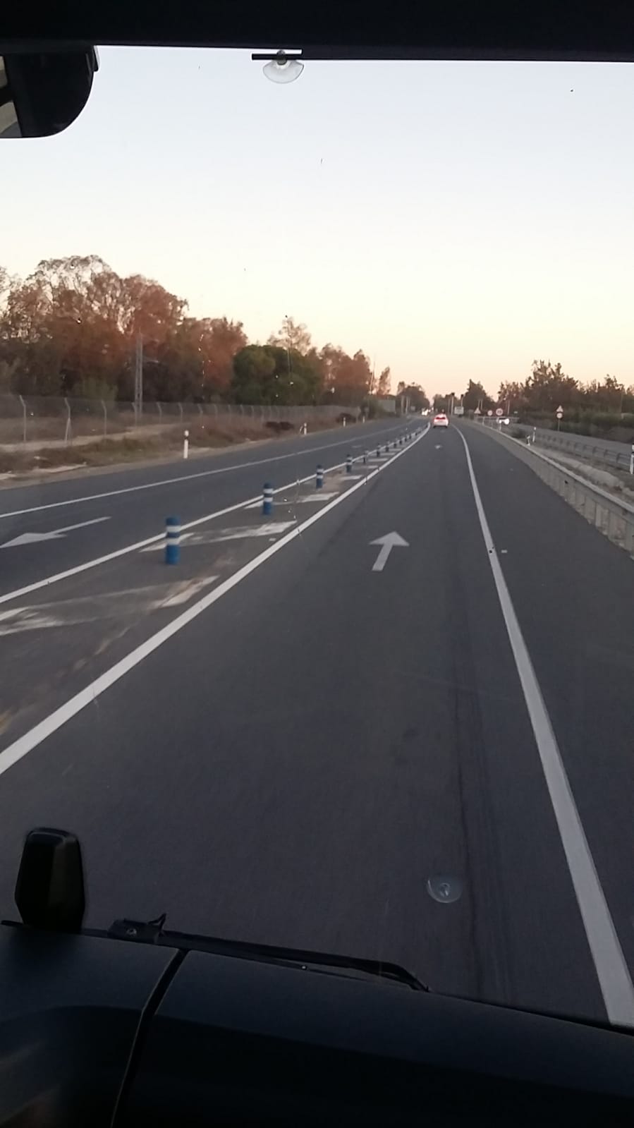Volviendo Doñana