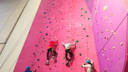 4º ESO Rocódromo