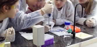 Investigando la vacuna de la Malaria - Imagen